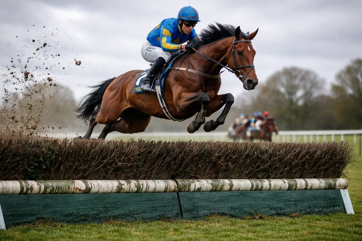 Paard en jockey springen over een hindernis tijdens een steeplechase