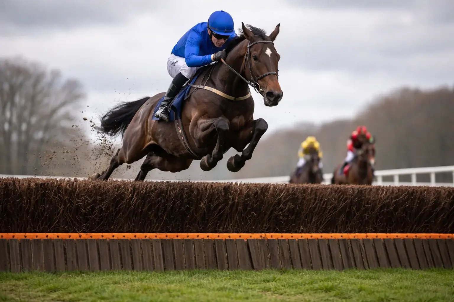 Racepaard met jockey springt over een steeplechase-hindernis op een groene baan